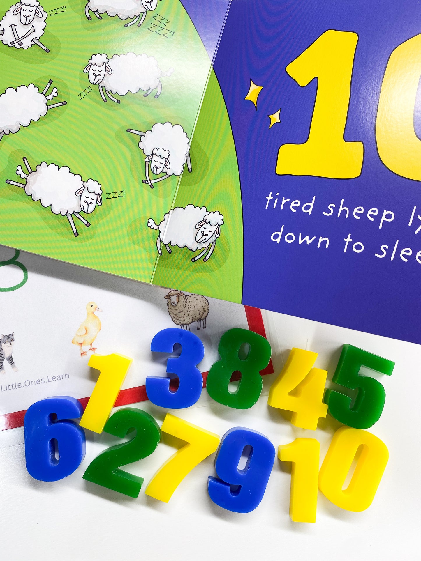 Barnyard Animals First Counting Book