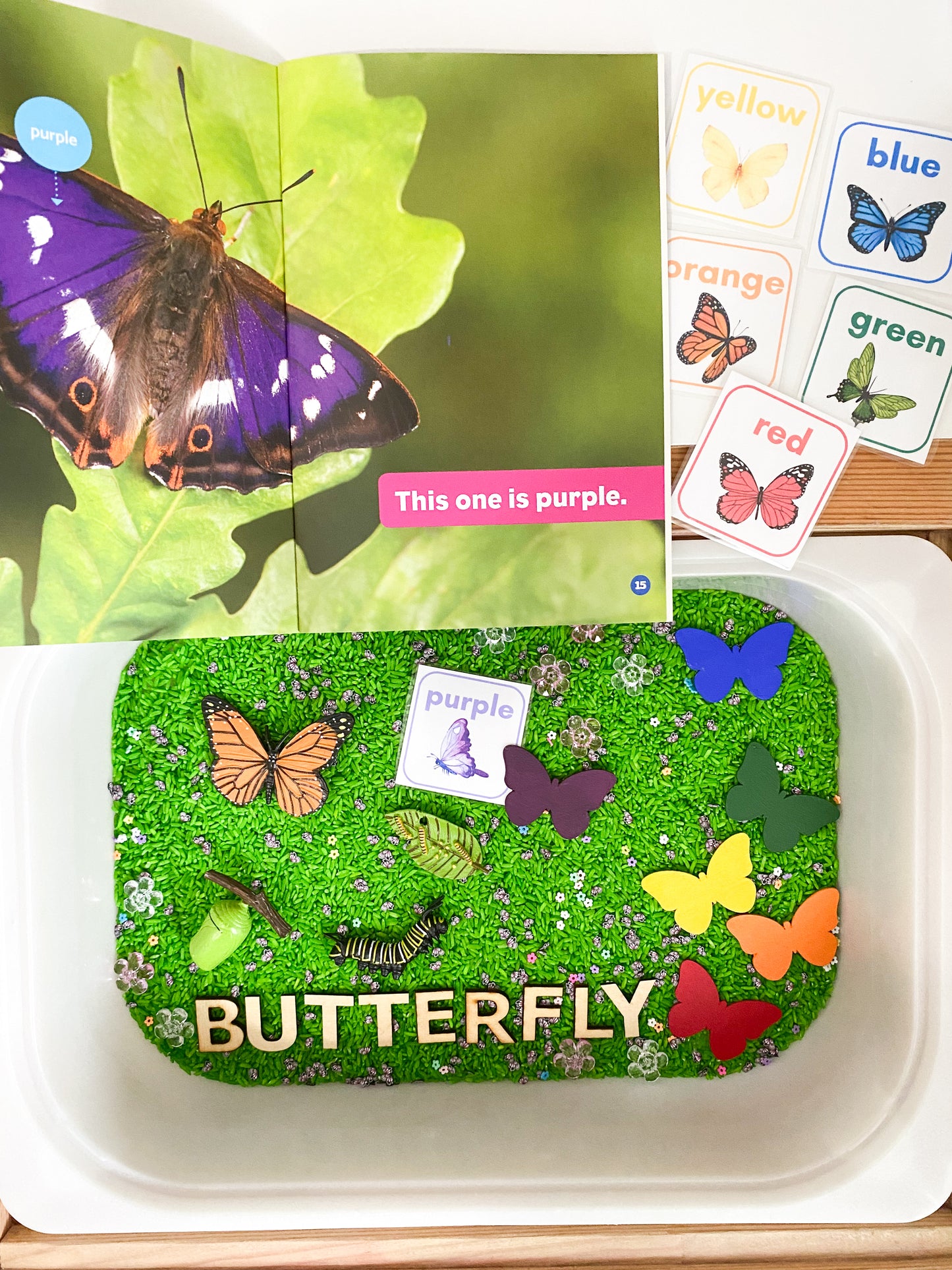 I See Butterflies Book Based Kit - Butterfly Life Cycle