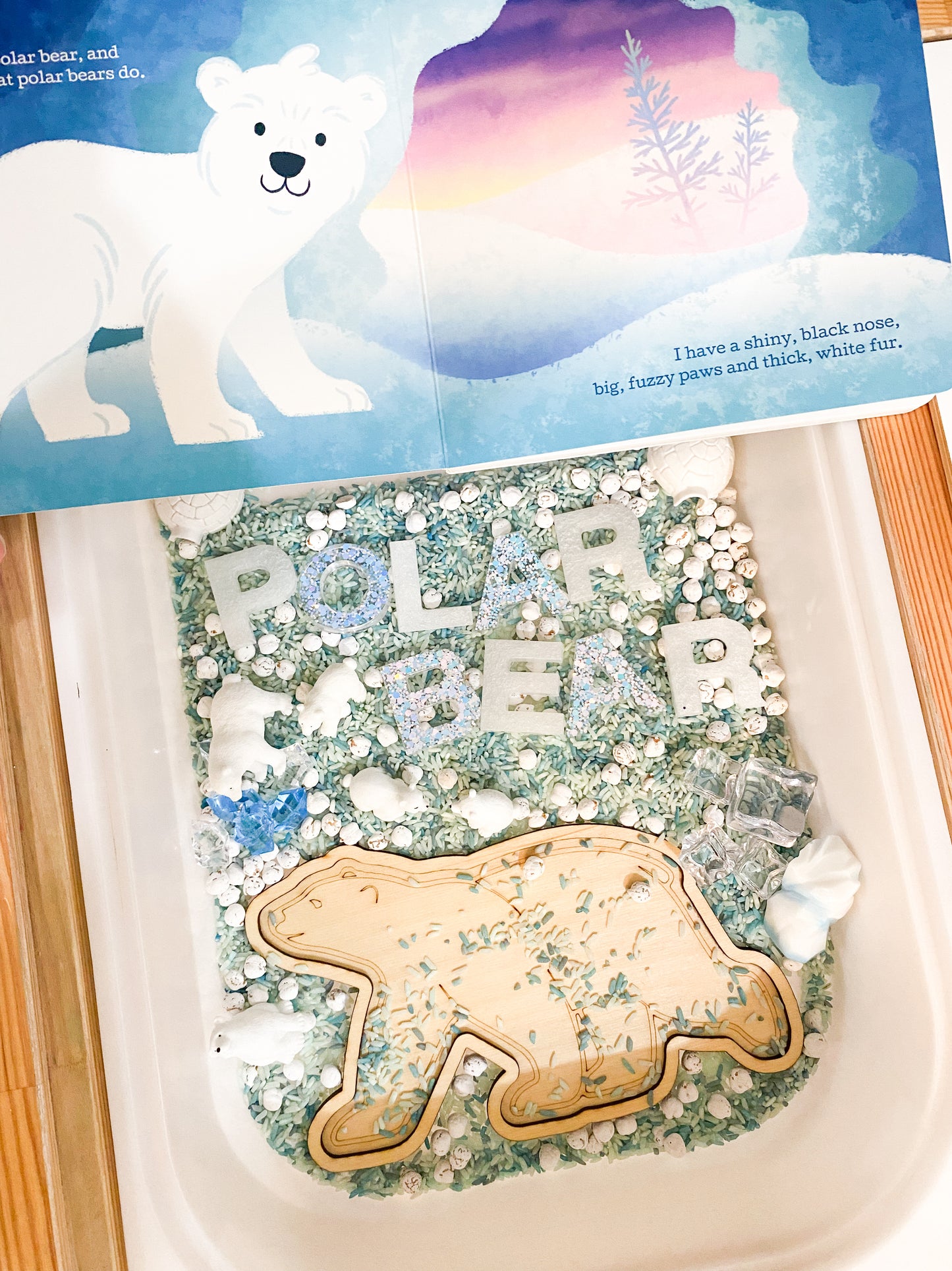 Polar Bear Book Kit