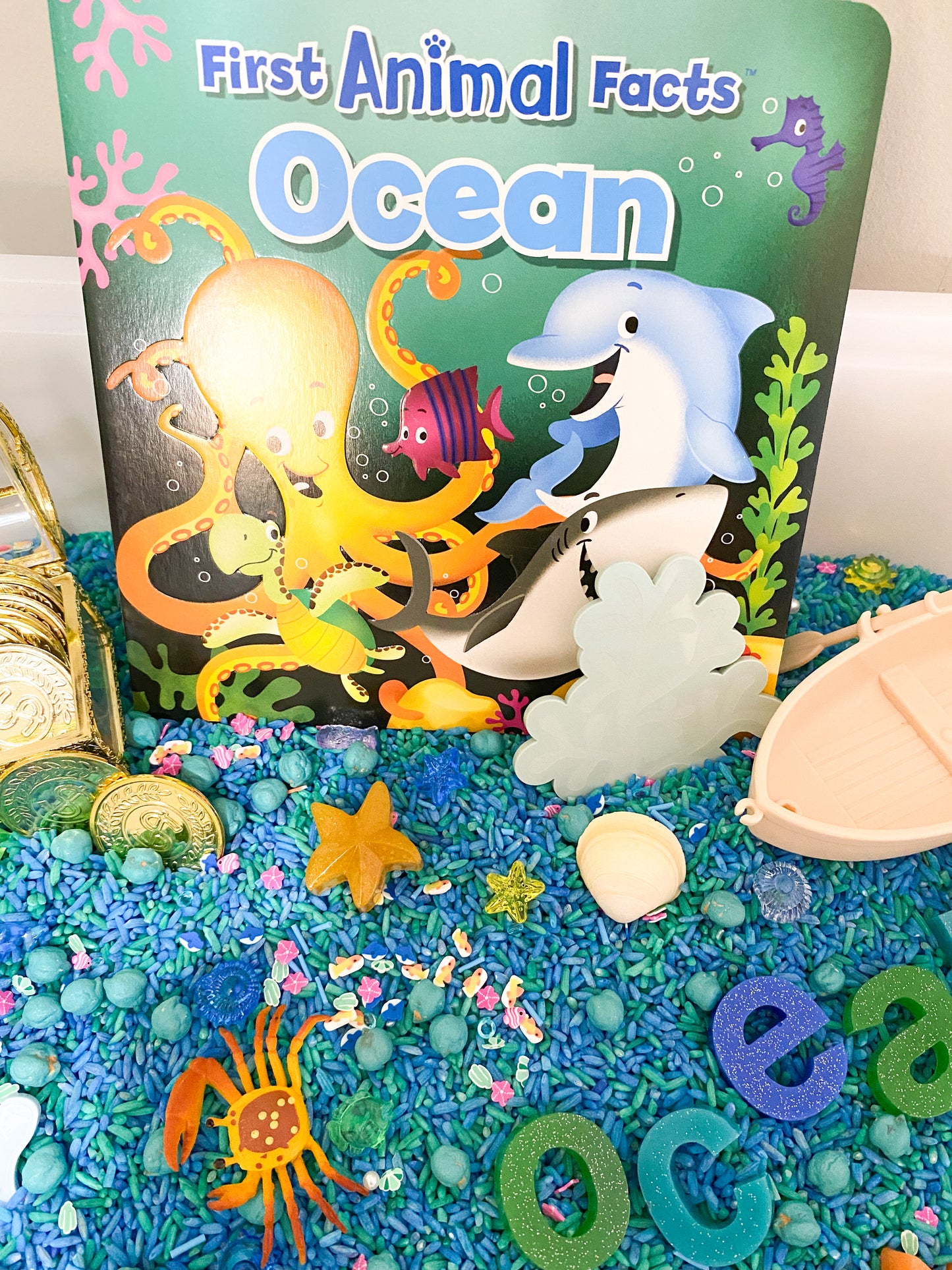 Ocean Book Kit