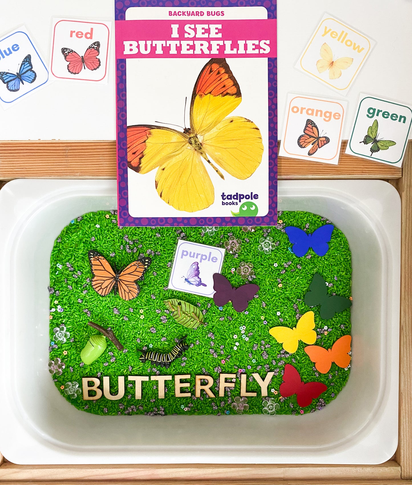 I See Butterflies Book Based Kit - Butterfly Life Cycle