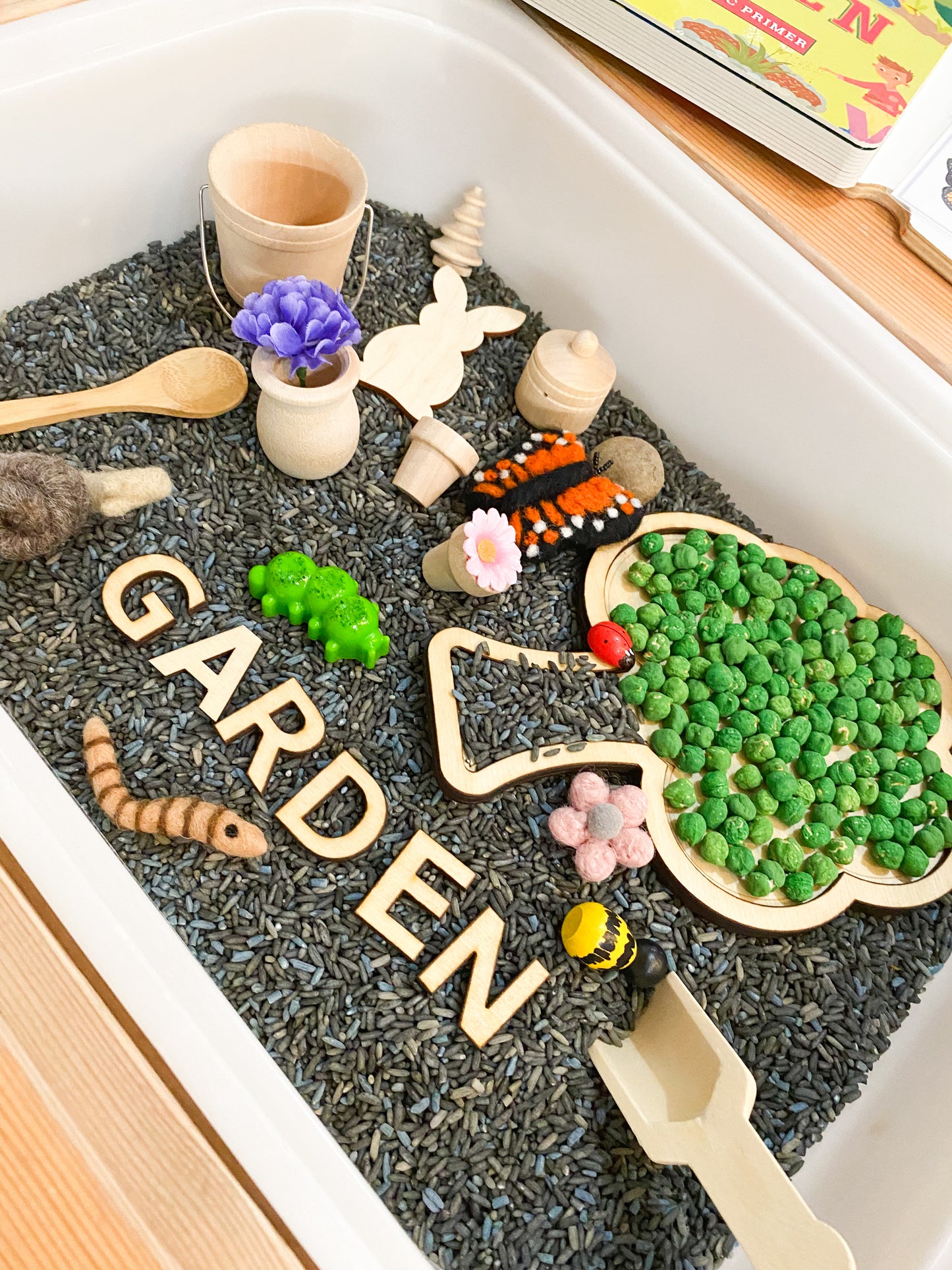 Deluxe Garden Kit with Book and Flashcards