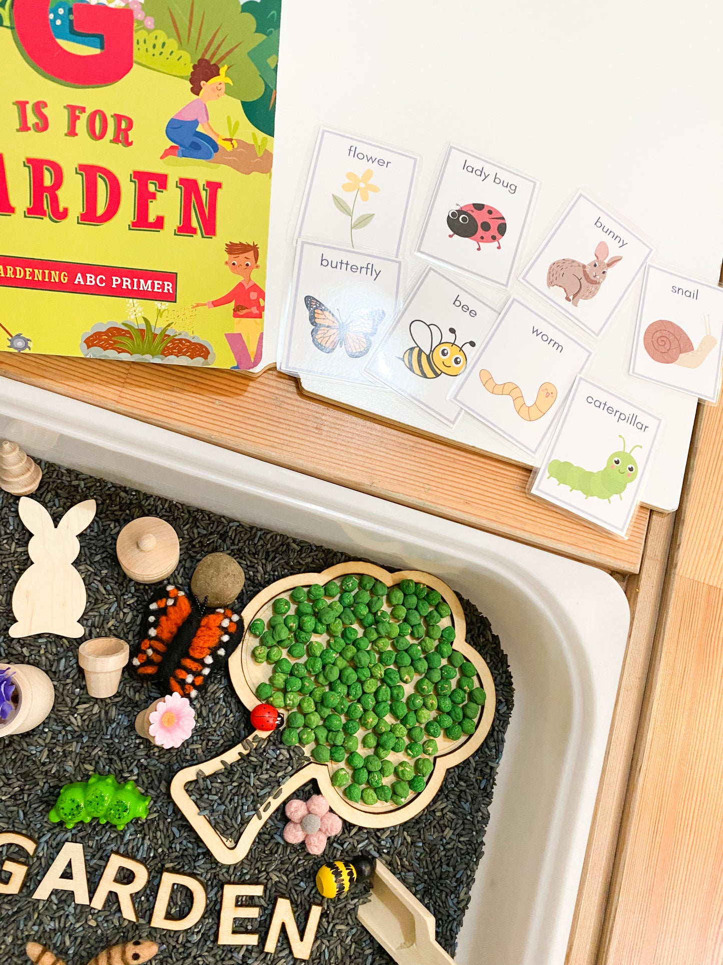 Deluxe Garden Kit with Book and Flashcards