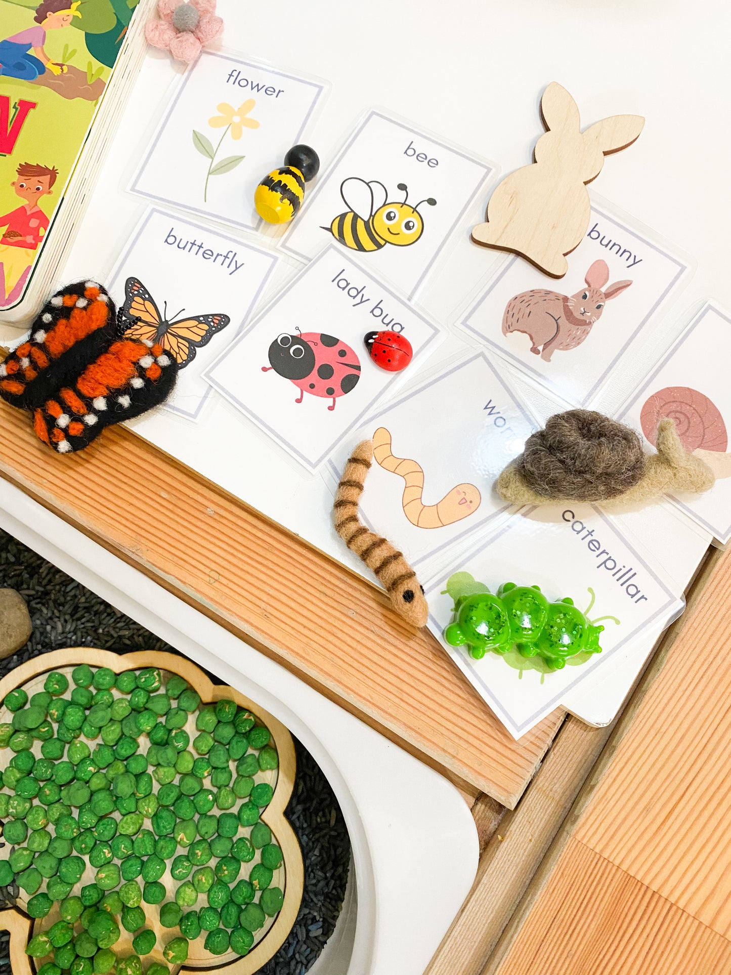 Deluxe Garden Kit with Book and Flashcards