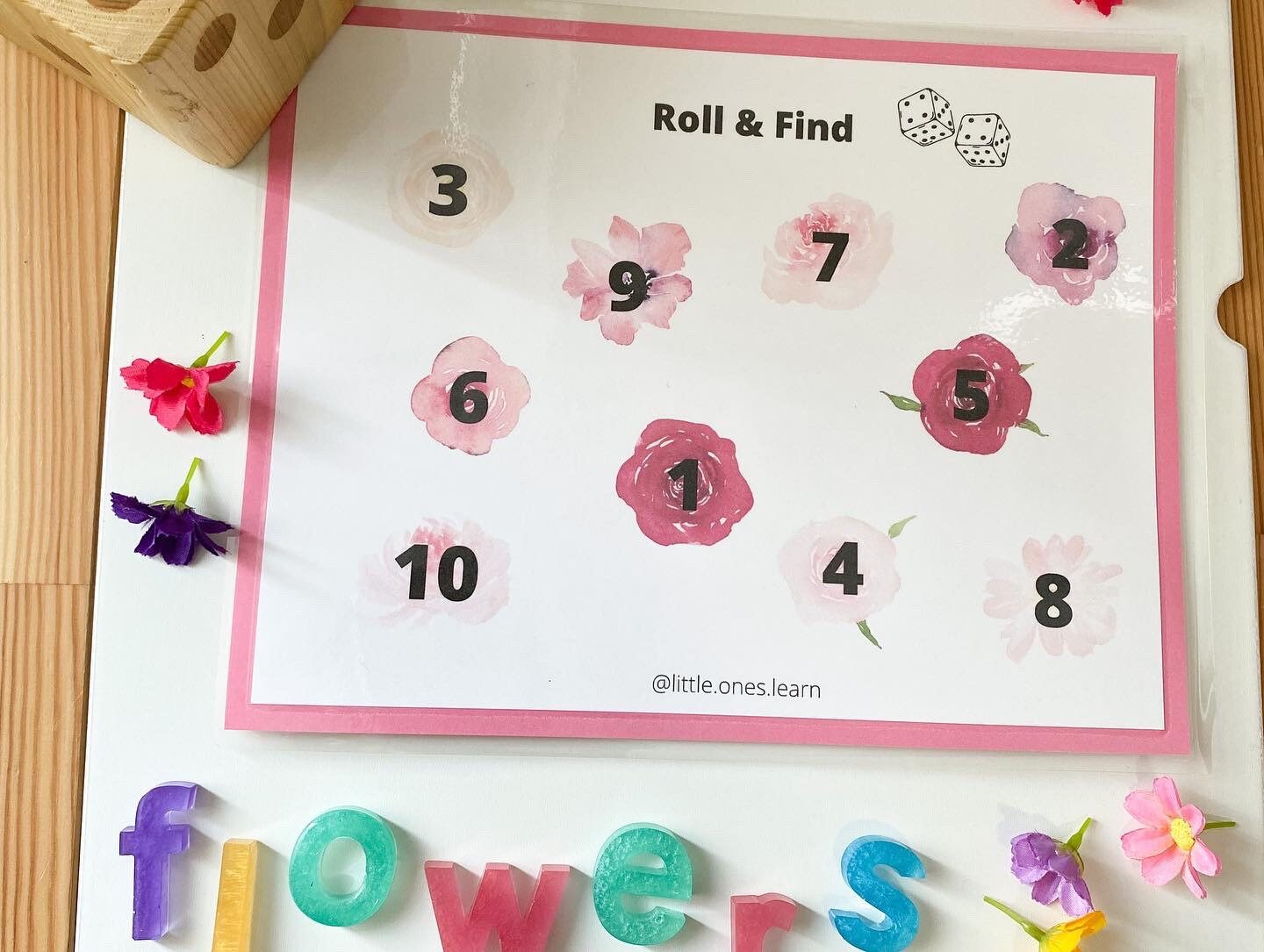 Roll & Find Math Mats * Set of 10 * Numbers Game