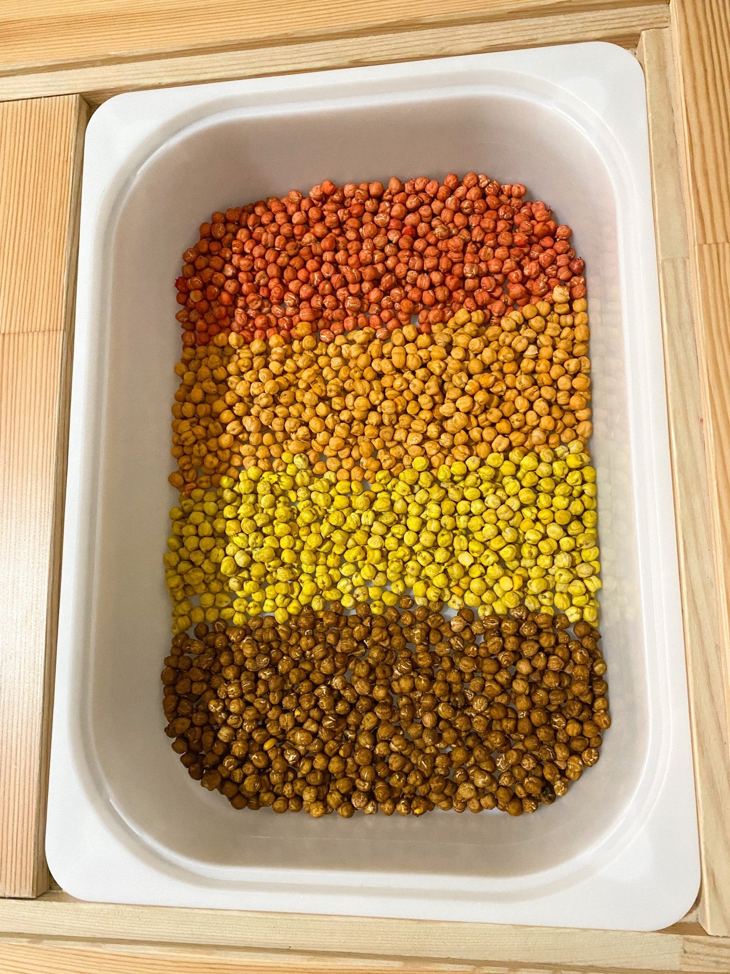 Fall Coloured Sensory Filler - Chickpeas - Sensory Bin Filler