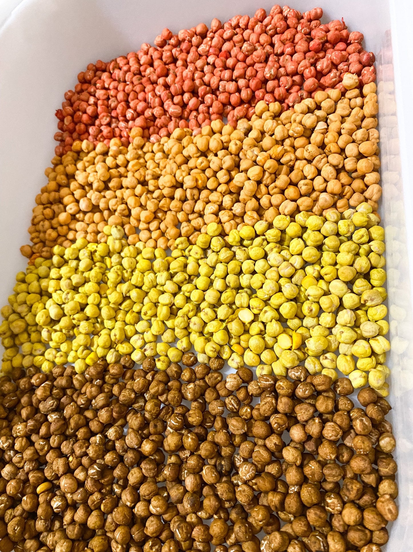 Fall Coloured Sensory Filler - Chickpeas - Sensory Bin Filler