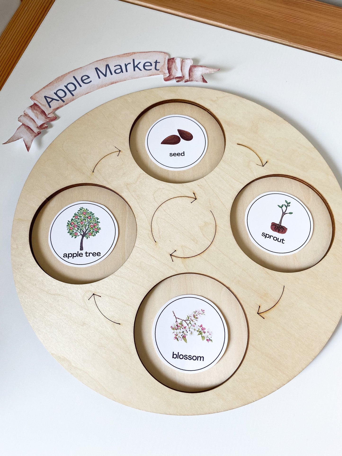 Wooden Life Cycle Sorting Board