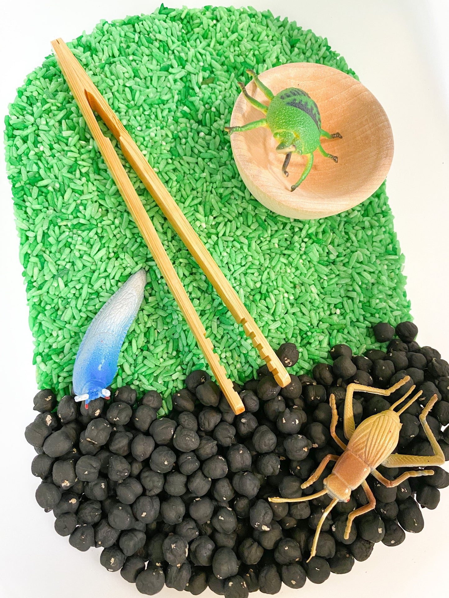 Insect Sensory Kit - Bug Sensory Kit