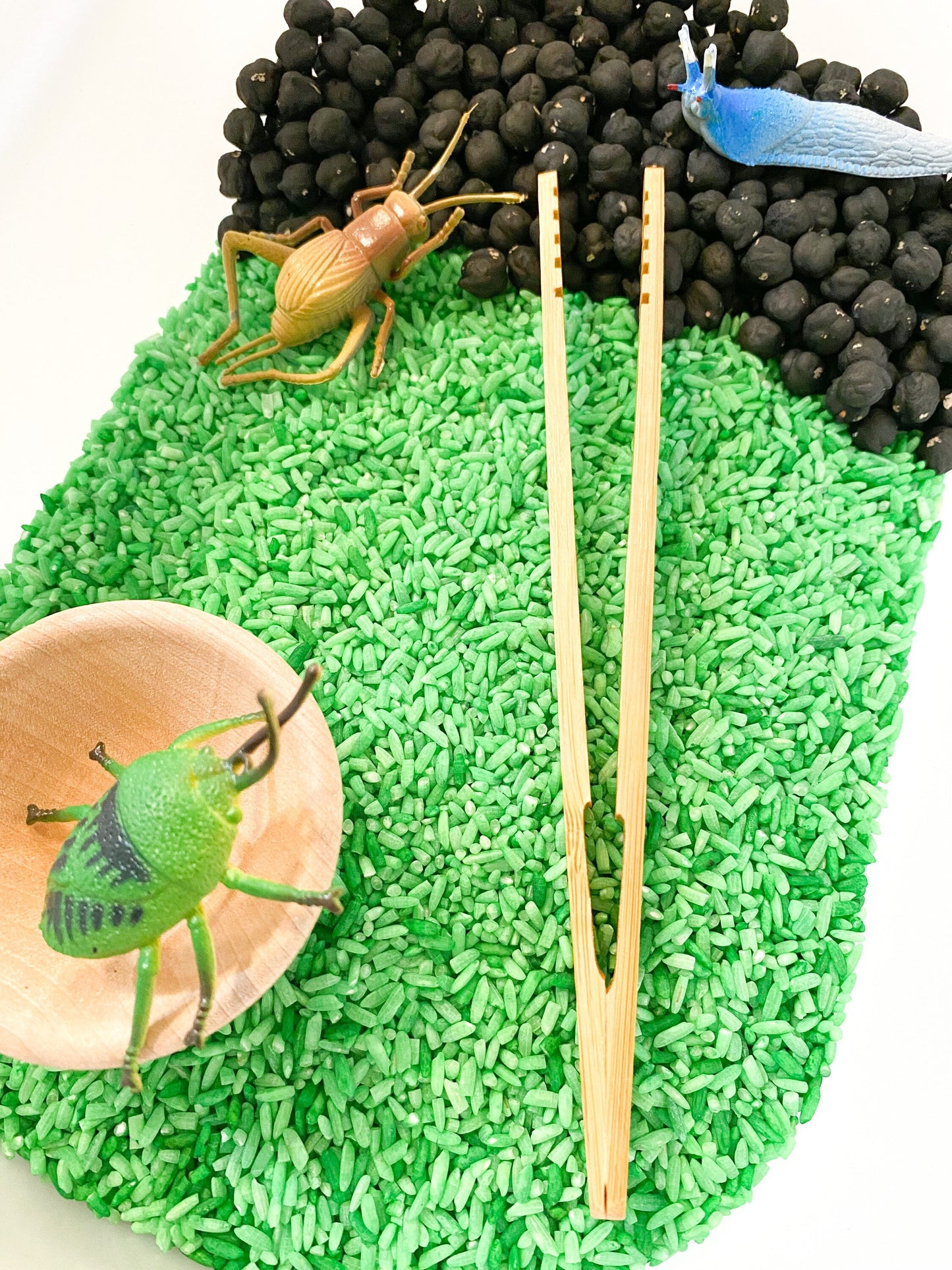 Insect Sensory Kit - Bug Sensory Kit