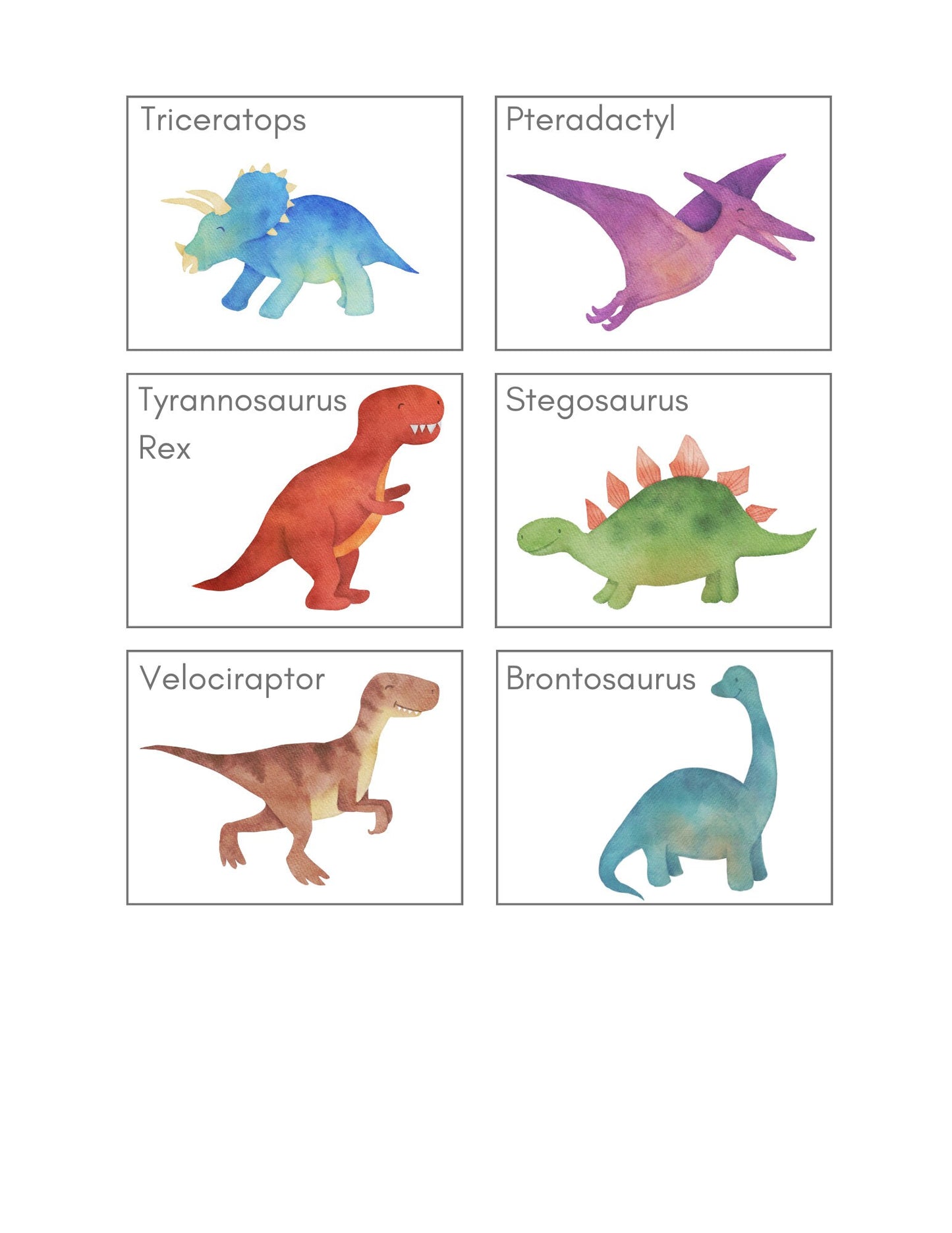 Dinosaur BUNDLE - Themed Flashcards, Count and Clip Cards, Word Cards and Poster