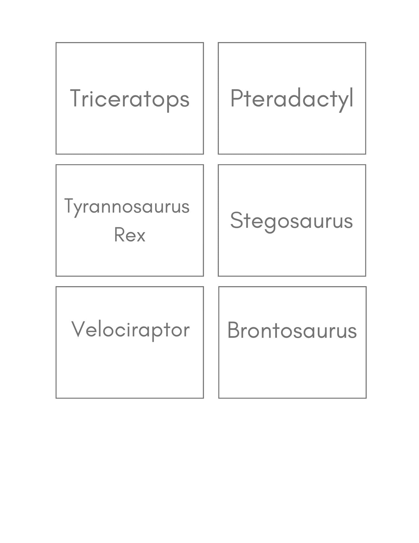 Dinosaur BUNDLE - Themed Flashcards, Count and Clip Cards, Word Cards and Poster