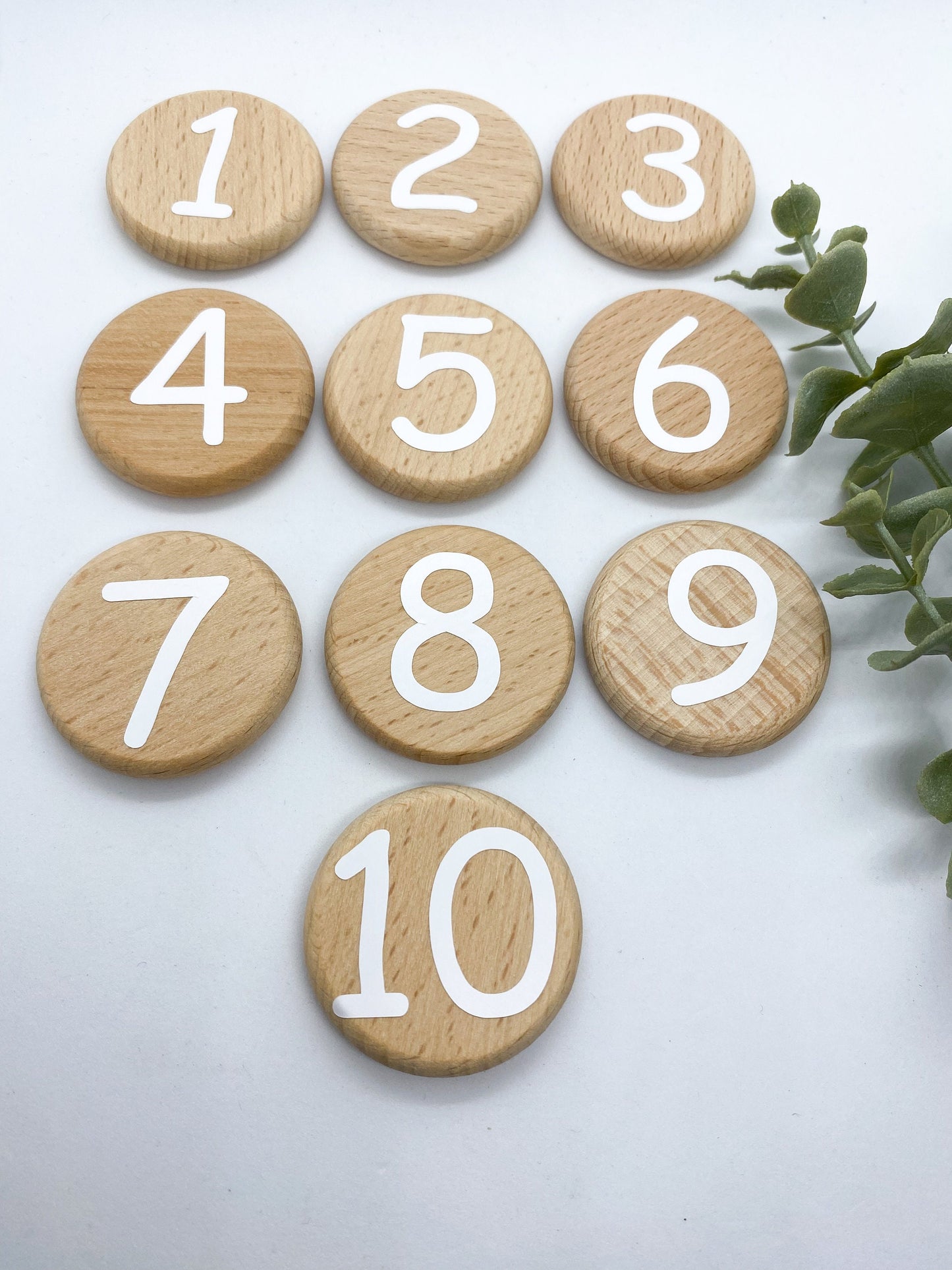 Wooden Math & Number Discs