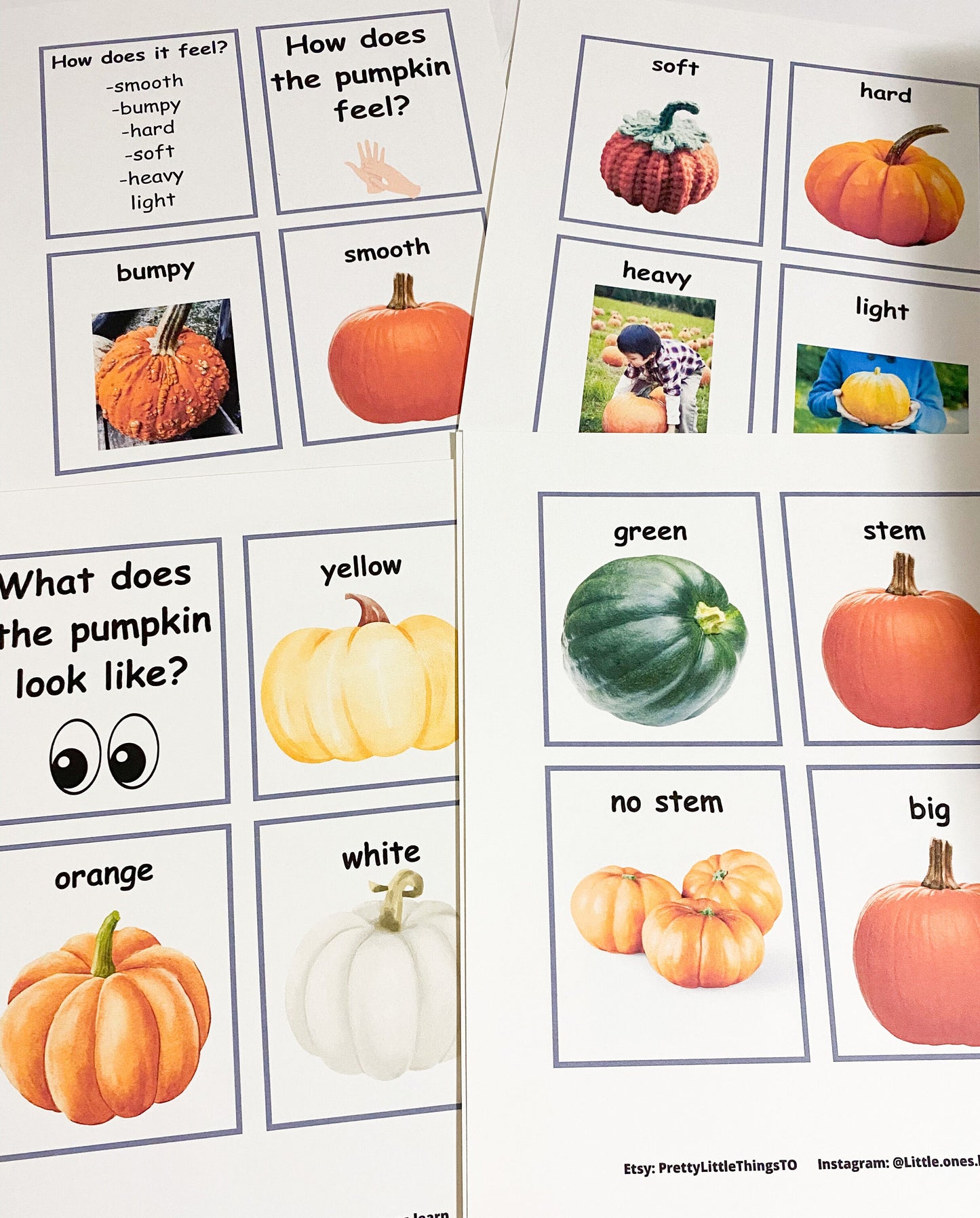 Printable Fall Bundle - Apple Bundle - Pumpkin Life Cycle & Pumpkin Investigation Bundle