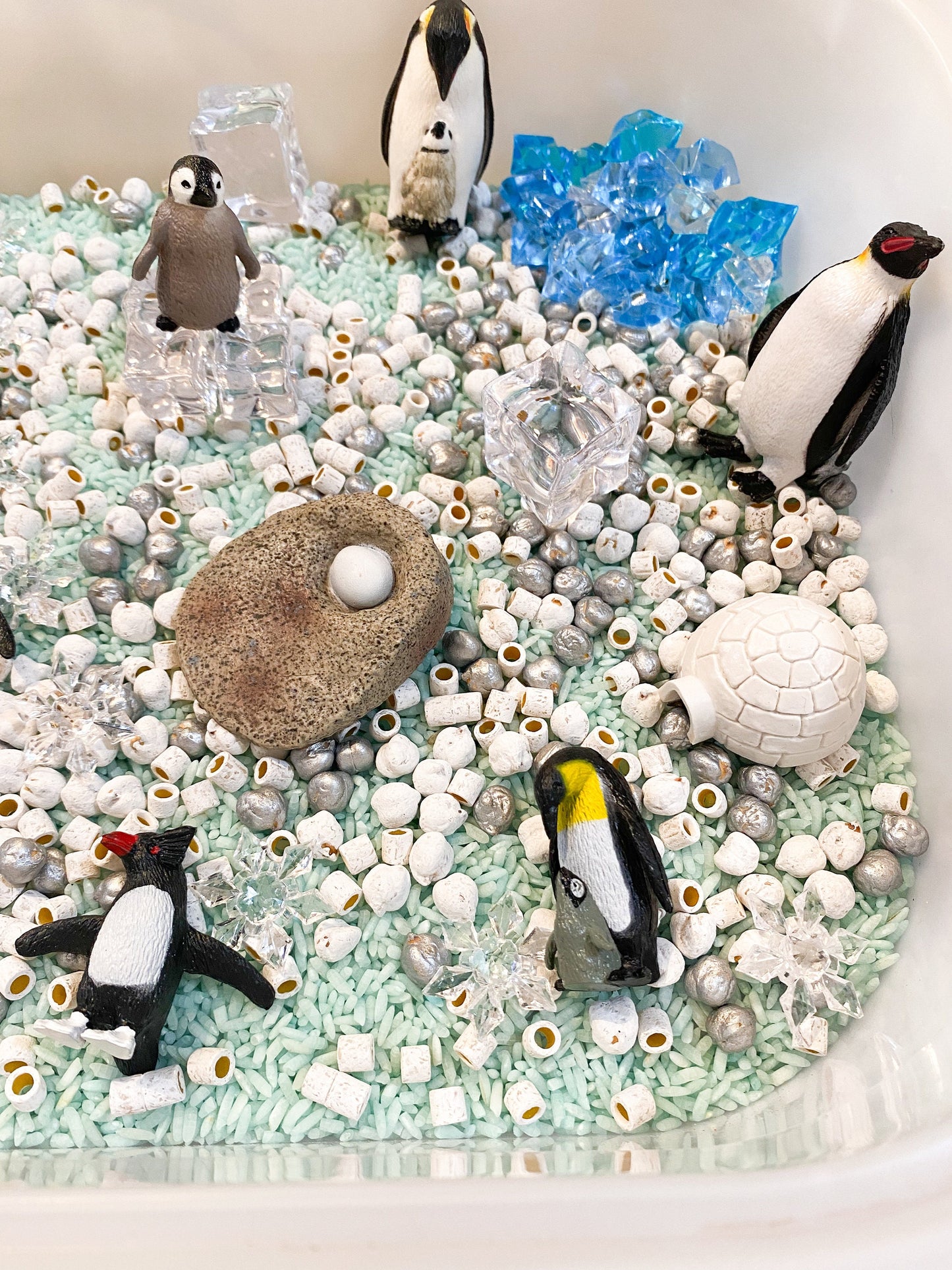 Arctic Animals or Penguin Sensory Kit - Life Cycle Learning Activity - Winter Sensory Kit