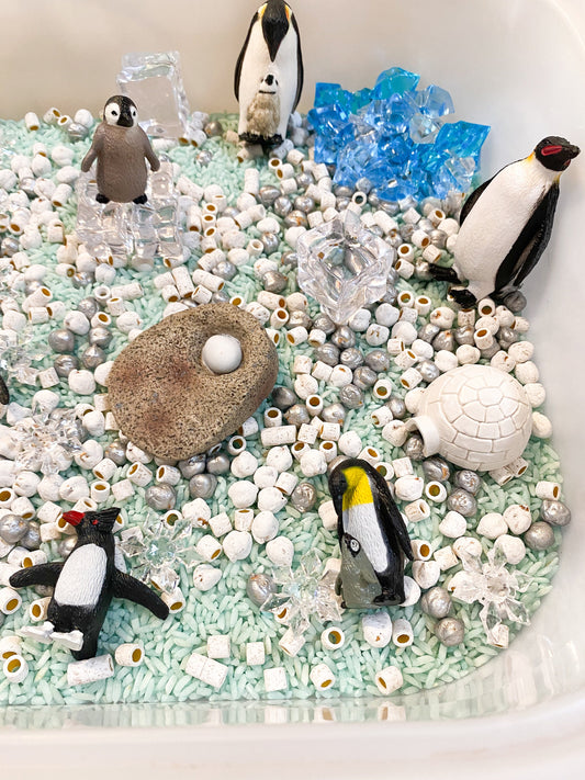 Arctic Animals or Penguin Sensory Kit - Life Cycle Learning Activity - Winter Sensory Kit