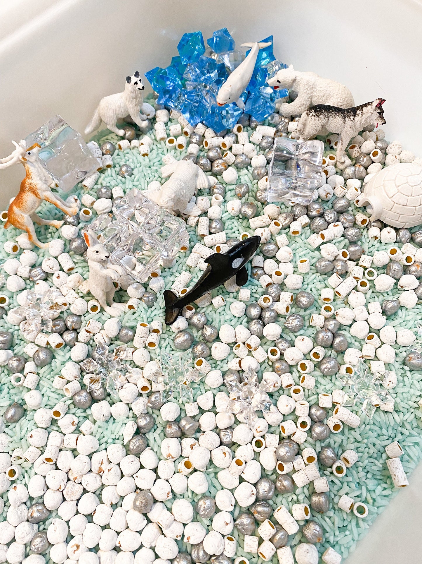 Arctic Animals or Penguin Sensory Kit - Life Cycle Learning Activity - Winter Sensory Kit