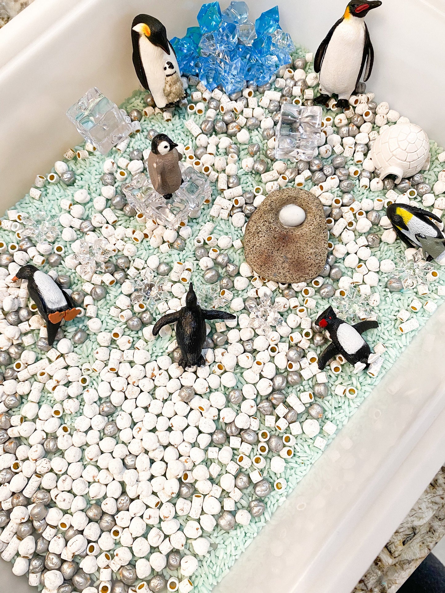 Arctic Animals or Penguin Sensory Kit - Life Cycle Learning Activity - Winter Sensory Kit