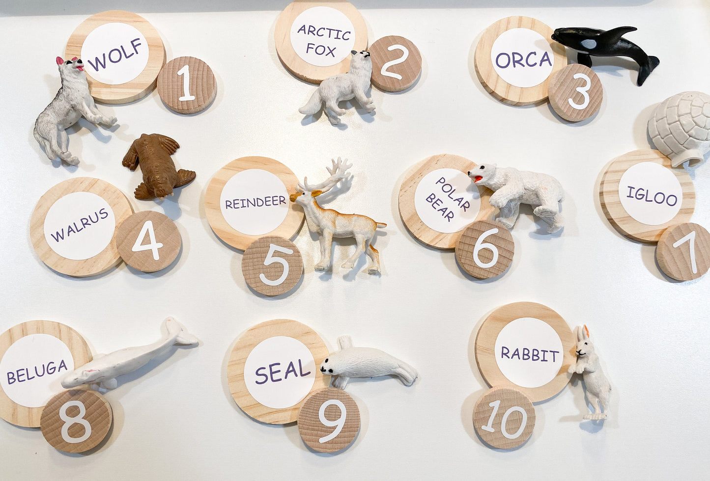 Arctic Animals Sensory Kit - Learning Activity - Math and Literacy Winter Kit