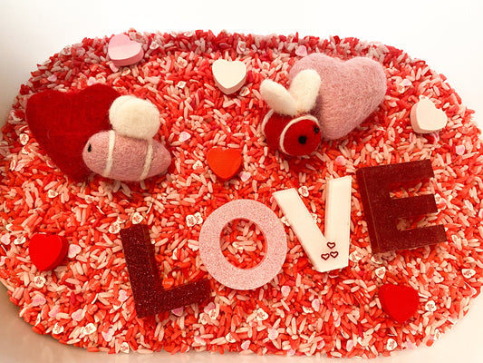 Love Bug Valentine’s Day Sensory Kit - Sensory Kit for Valentines Day - Valentine’s Day Sensory Kit